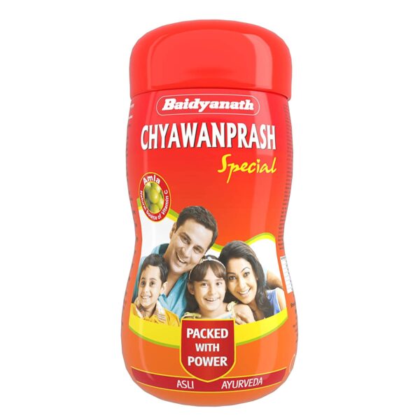 CHYAWANPRASH 1KG (BAIDYANATH) AVLEHA AND PAK CV Pharmacy 2