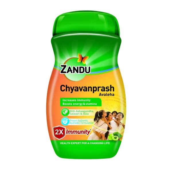 ZANDU CHYAVANPRASH 450G FMCG CV Pharmacy 2
