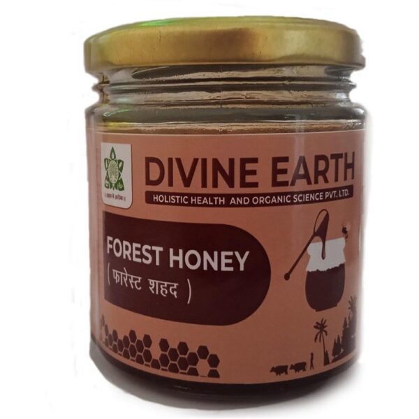 HONEY 100G (DIVINE ) FMCG CV Pharmacy