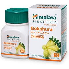 GOKSHURA TAB AYURVEDIC CV Pharmacy