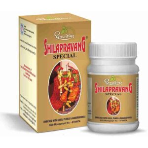 SHILAPRAVANG SP. TAB 30`S Medicines CV Pharmacy