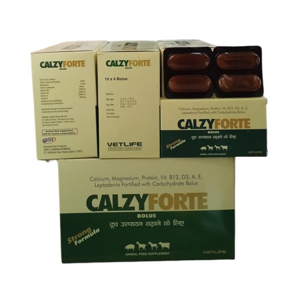 CALZY FORTE TAB CALCIUM CV Pharmacy