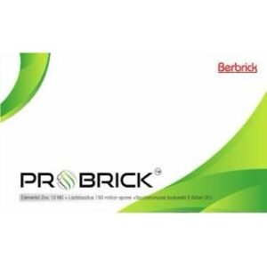 PROBRICK CAPSULE ANTACIDS CV Pharmacy