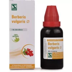 BERBERIS VULGARIS HOMEOPATHY CV Pharmacy